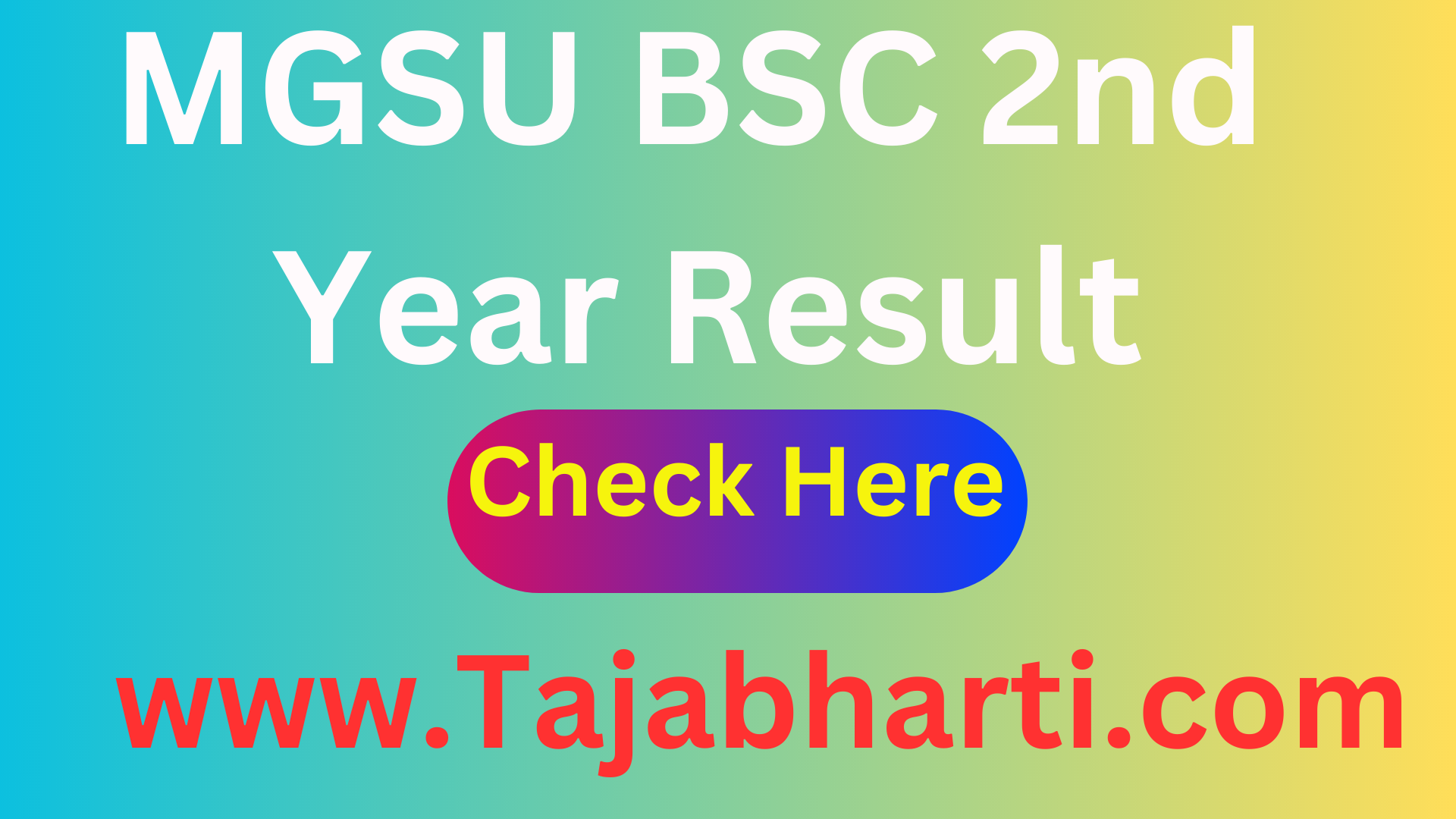 MGSU BSC 2nd Year Result 2024